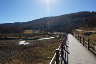 普达措森林公园