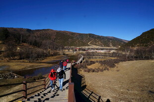 普达措森林公园