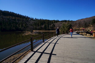 普达措森林公园