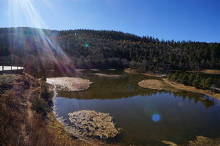 普达措森林公园
