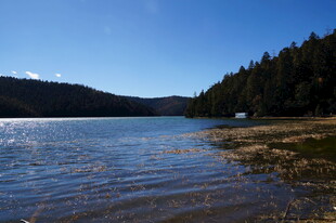 普达措森林公园