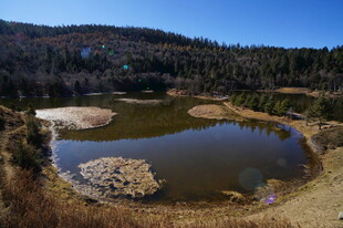 普达措森林公园