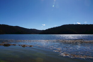 普达措森林公园