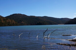 普达措森林公园