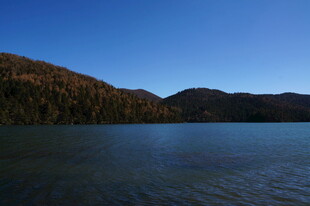 普达措森林公园