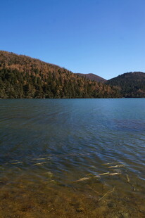 普达措森林公园