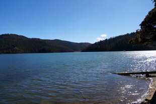 普达措森林公园