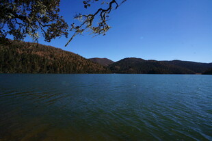 普达措森林公园