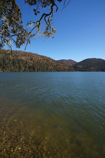 普达措森林公园