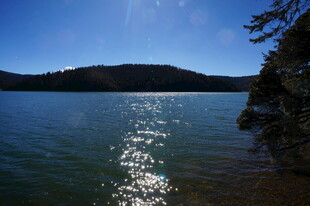 普达措森林公园