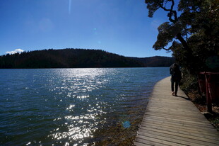 普达措森林公园