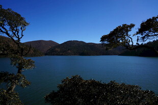 普达措森林公园