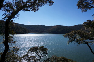 普达措森林公园