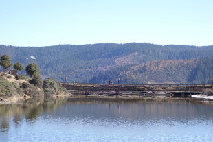 普达措森林公园