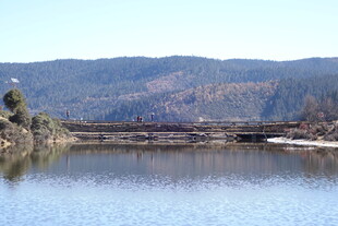 普达措森林公园