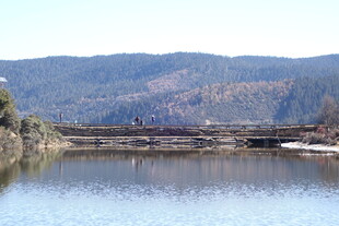 普达措森林公园