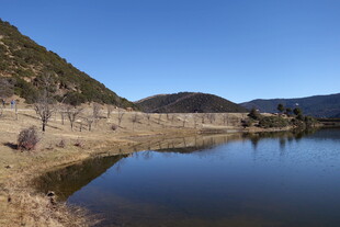 普达措森林公园