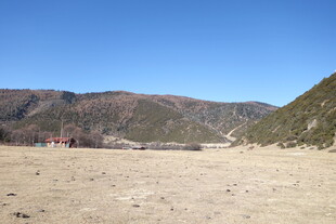 普达措森林公园