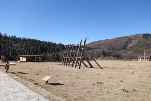 普达措森林公园