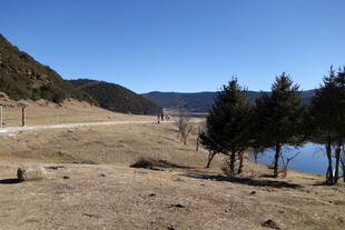 普达措森林公园