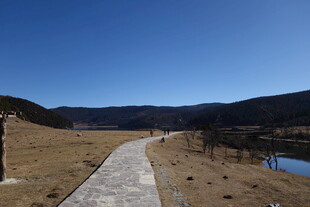 普达措森林公园