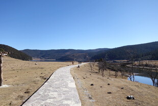 普达措森林公园