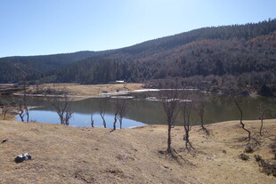 普达措森林公园