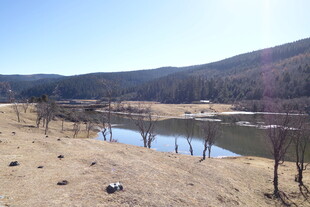 普达措森林公园