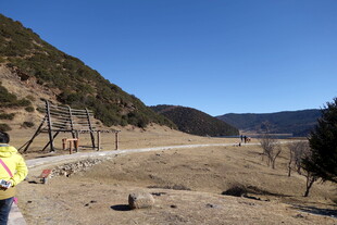 普达措森林公园