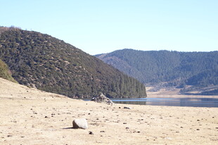 普达措森林公园