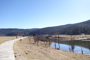 普达措森林公园