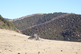 普达措森林公园