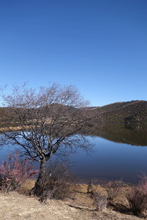 普达措森林公园