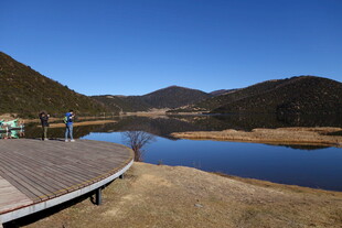 普达措森林公园