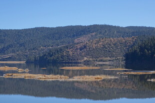 普达措森林公园