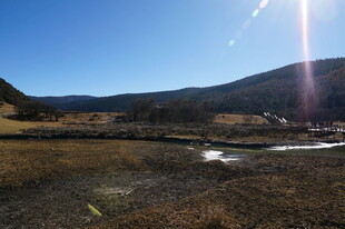 普达措森林公园