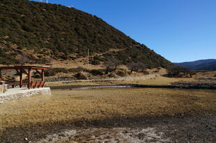 普达措森林公园