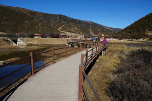 普达措森林公园