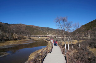 普达措森林公园