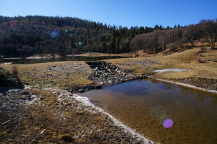 普达措森林公园