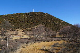 普达措森林公园