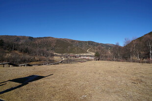 普达措森林公园