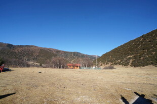 普达措森林公园