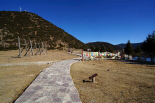 普达措森林公园