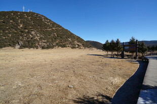 普达措森林公园