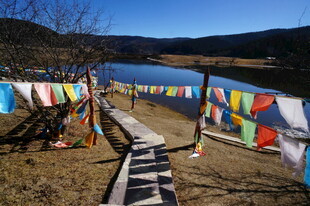 普达措森林公园