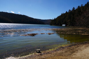 普达措森林公园