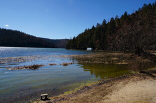 普达措森林公园