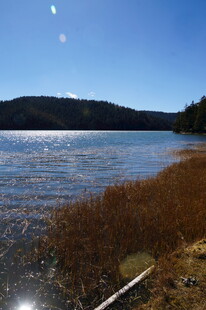 普达措森林公园