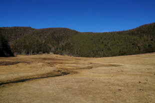 普达措森林公园